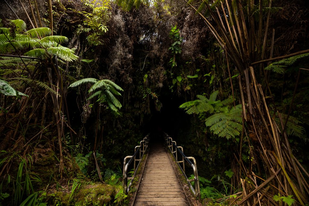 The trail leading into Nahuku lava tube on the Big Island of Hawaii.