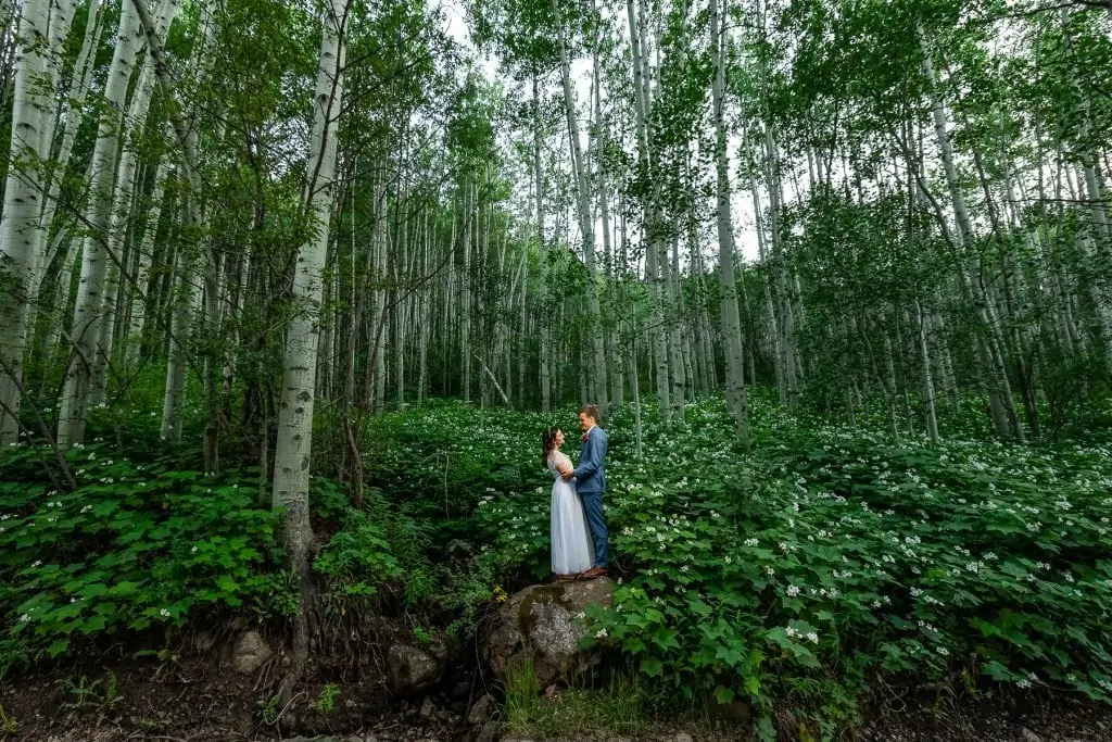 A vail colorado elopement couple portrait in a vibrant green aspen grove.
