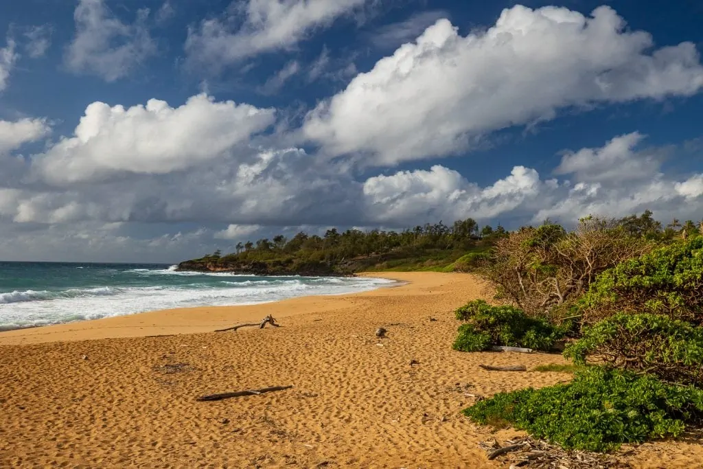 A secluded beach on Kauai's east shore, with blue sky, tropical plants and pounding waves.