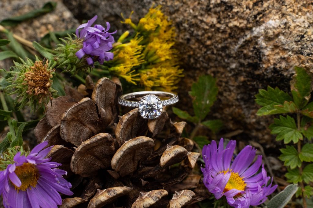 The diamond engagement ring from Kenny's proposal to Alexis in Rocky Mountain National Park.