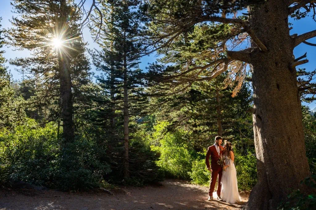 A forest elopement in California.