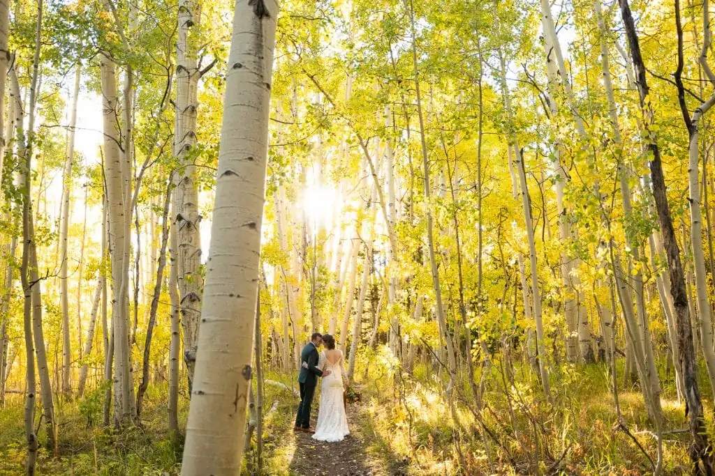 The sun shines through a golden yellow aspen forest where a couple is embracing after their elopement in Crested Butte, Coloraod.