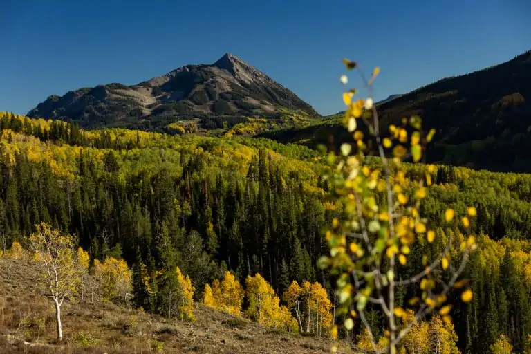 Crested Butte Elopement Locations – Master Guide for 2024