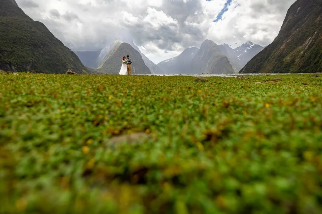 Green tidal vegetation makes up the foreground of this epic photo of a wedding couple at Milford Sound. Mitre Peak rises up from the fjord behind them.