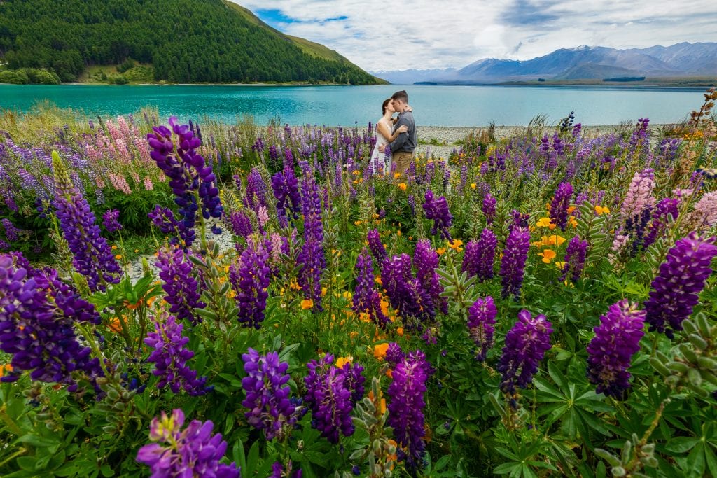 A couple in wedding clothes surrounded by blue and purple lupine flowers on the shore of Lake Tekapo on New Zealand's south island. 