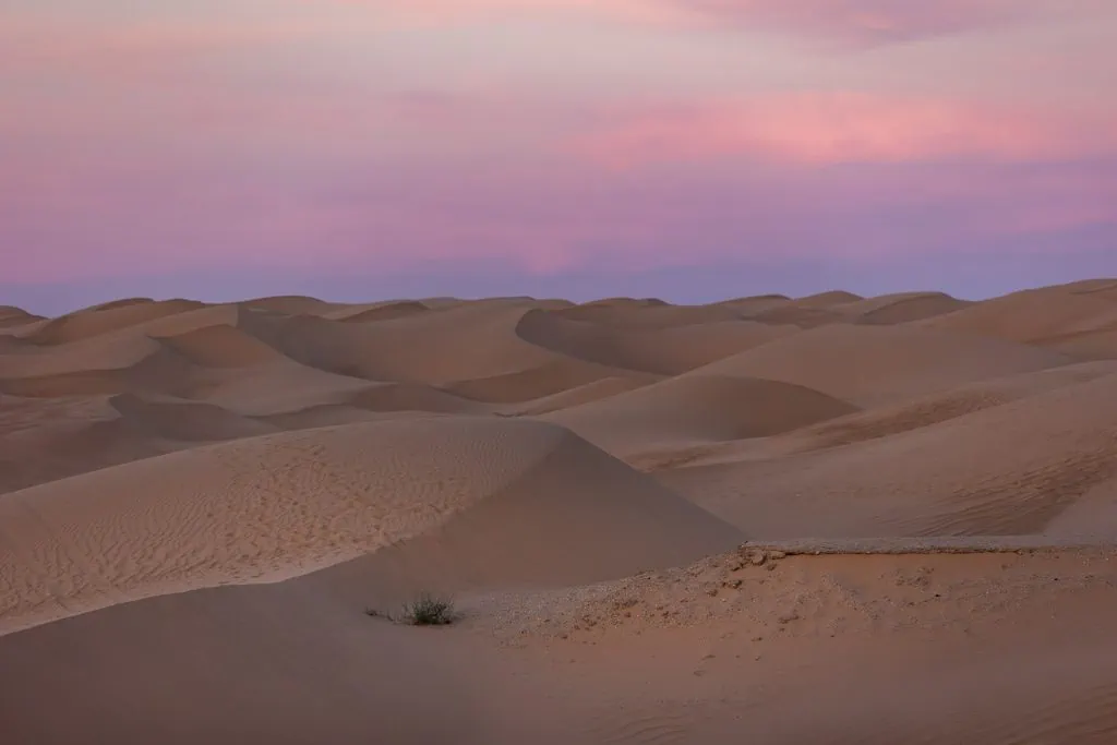 Pink sky hangs over California Sand Dunes stretching into the distance.