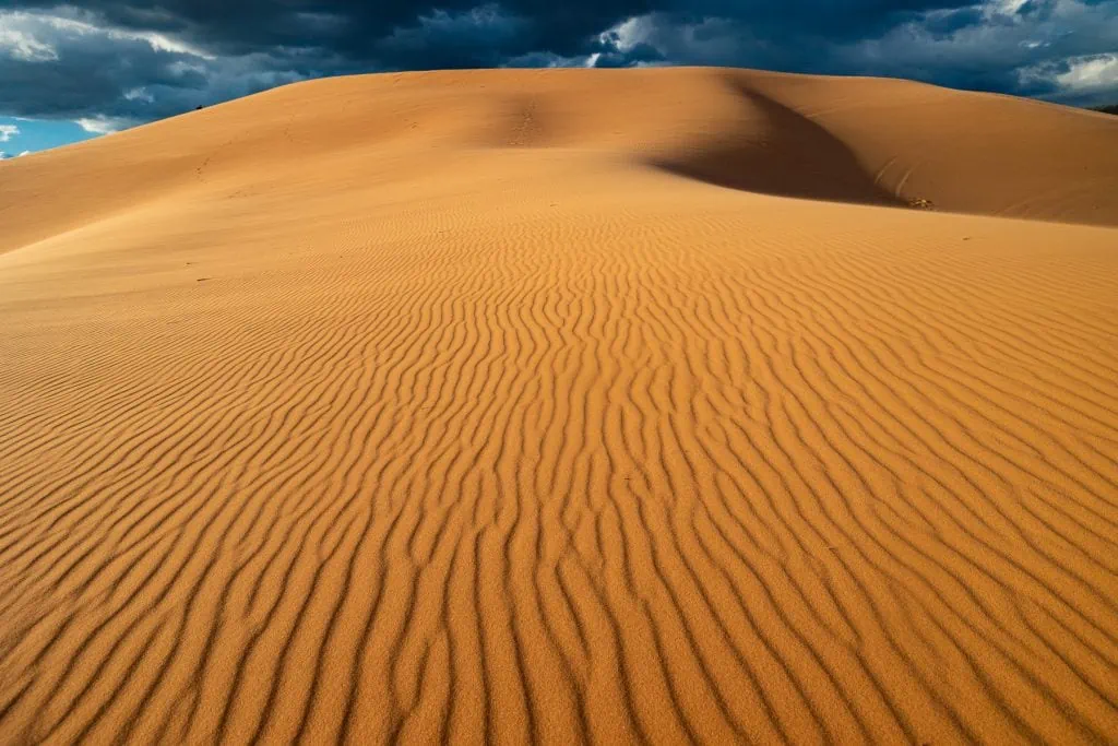 The peach colored sand dunes are furrowed and bright at Coral Pink Sand Dunes State Park.