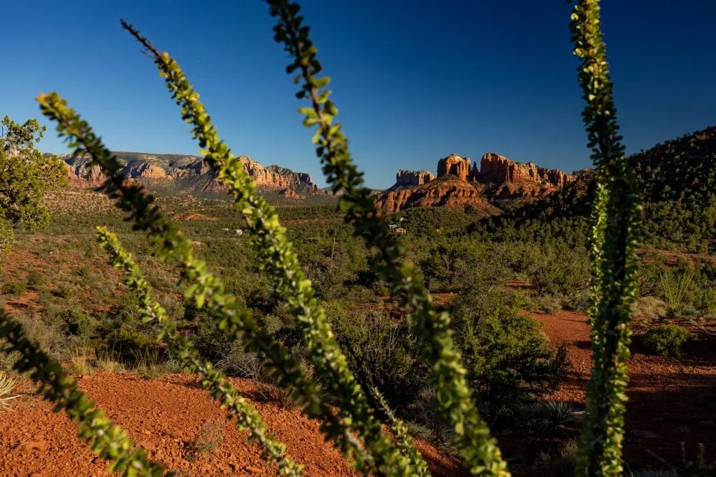 Lover's Knoll is a popular elopement location in Sedona, Arizona.