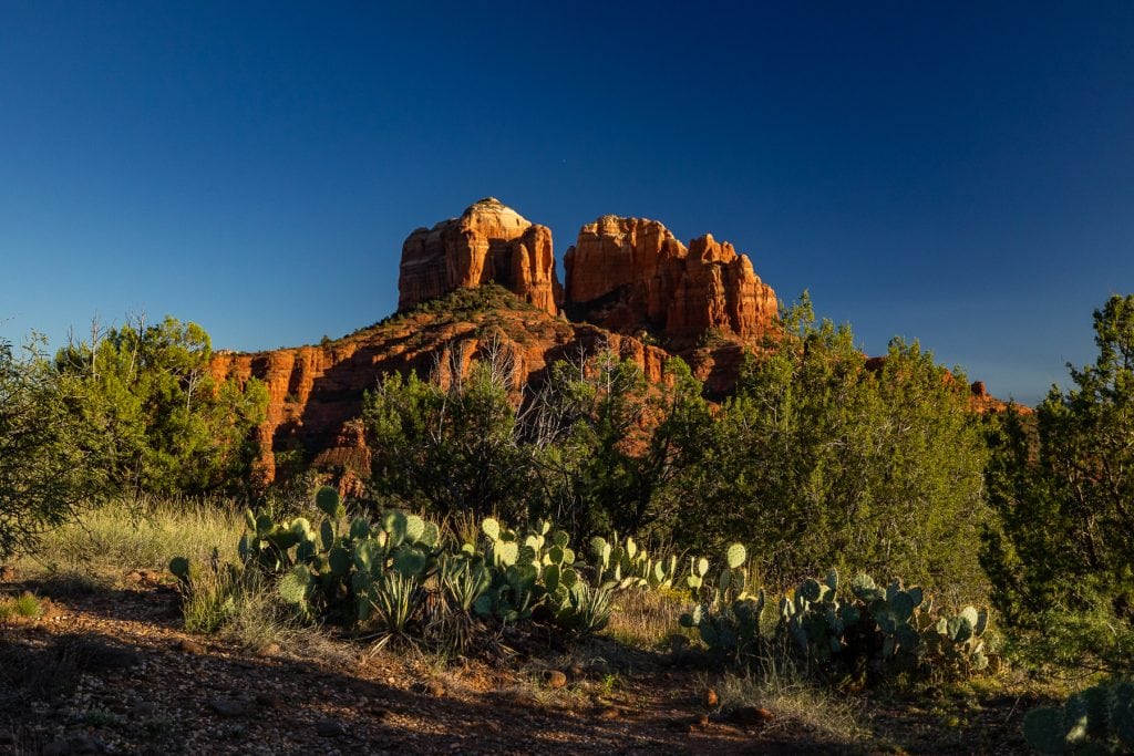 Cathedral rock at sunset with cactuses in the foreground.