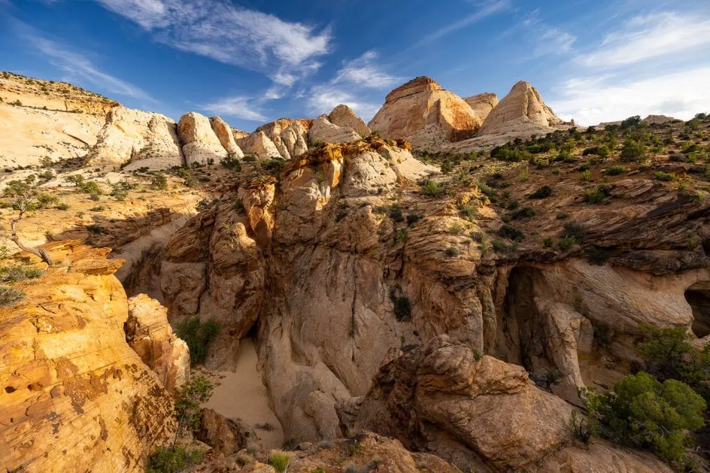 Beautiful desert peaks above a yellow stone canyon in Capitol Reef National Park by photographer Lucy Schultz.