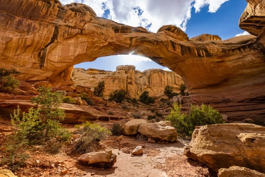 The Heckman arch is a highlight of Capitol Reef National Park in this colorful photograph by Lucy Schultz.