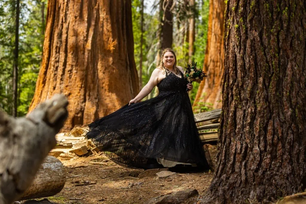 A playful bride shows off her unique black wedding gown in the giant sequoias of Yosemite in these elopement photos.