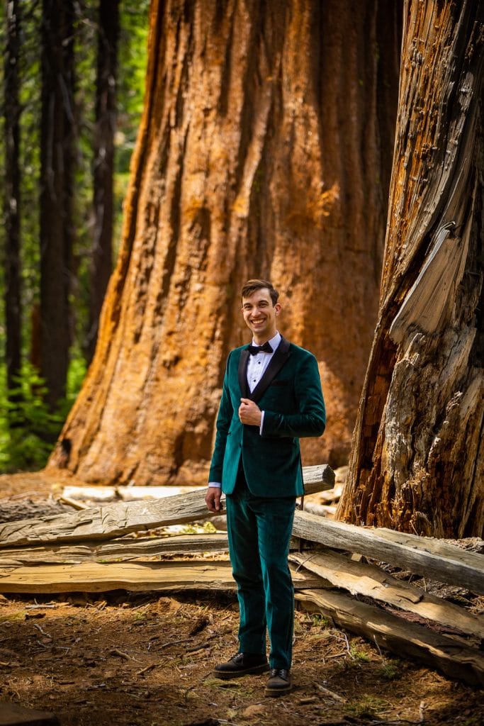 A tall groom stands among giant sequoias on his Yosemite elopement day.
