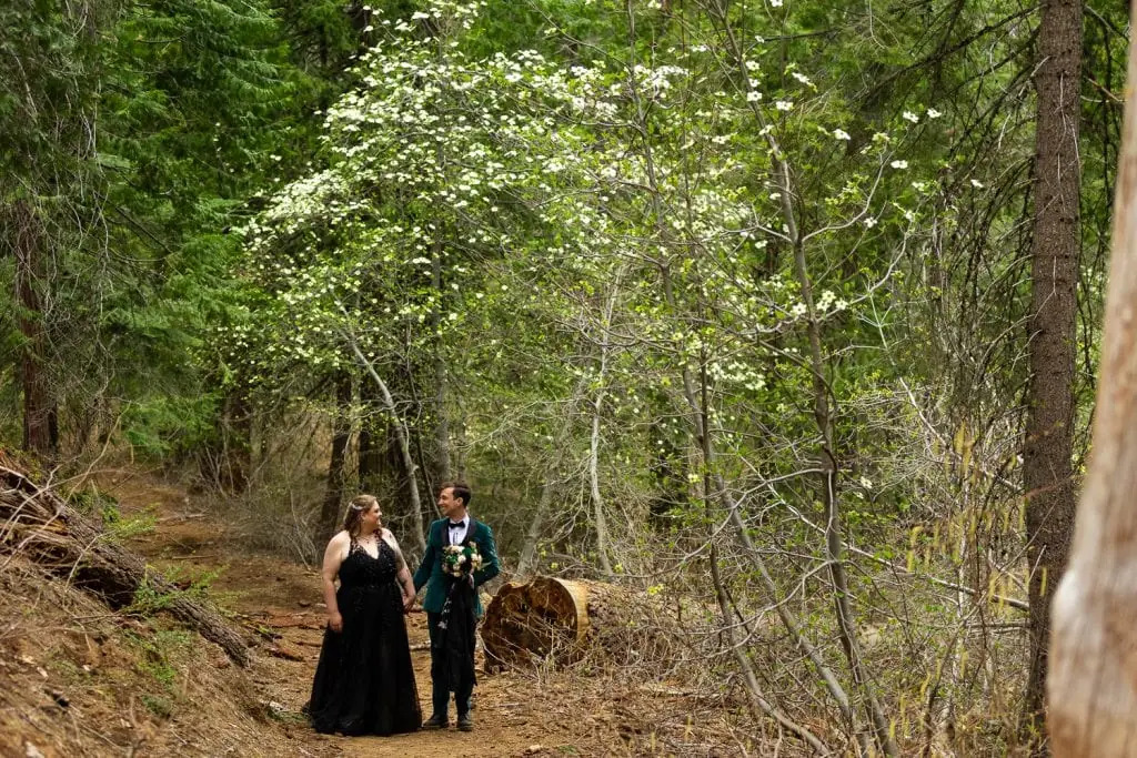 A yosemite elopement couple walks under a flowering dogwood tree in this sweet forest photo.