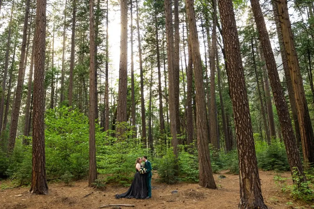 The elopement couple sways back and forth in a glowing forest at sunset in Yosemite national park.
