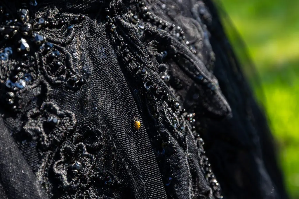 A ladybug lands on the bride's black dress in this close-up photo.