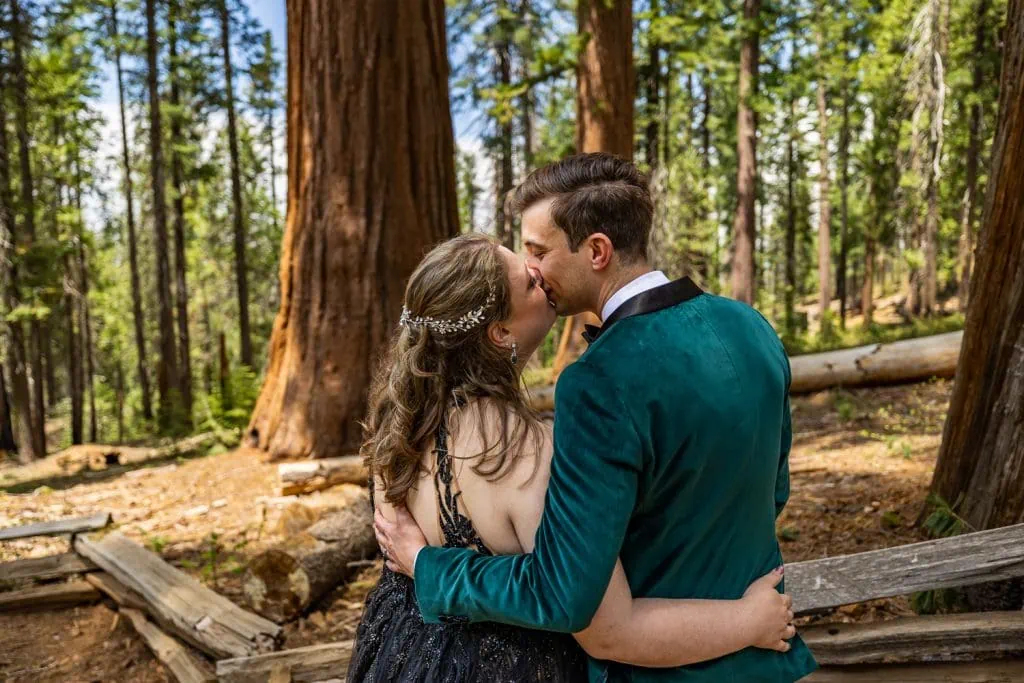 The yosemite elopement couple shares a kiss in tuolumne grove after their elopement ceremony photos.