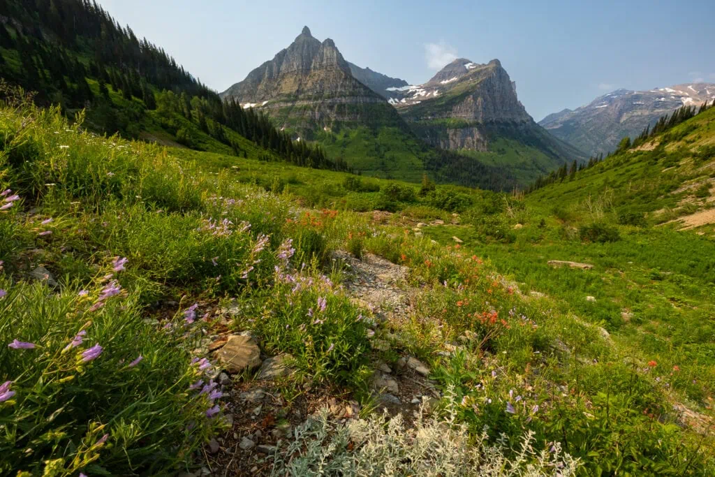 Glacier national park elopement photographer Lucy Schultz shows off the Big Bend ceremony location with wildflowers in front of big mountain peaks.