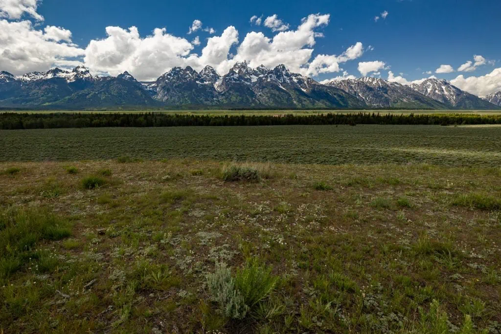 Just off the paved path from Glacier View turnout, the view of the Grand Tetons and the sagebrush valley below shows off the beauty of Grand Tetons National Park.