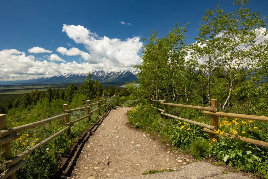 A fence lined path leads to the lookout at Signal Mountain on a summer's day in Grand Tetons National Park.