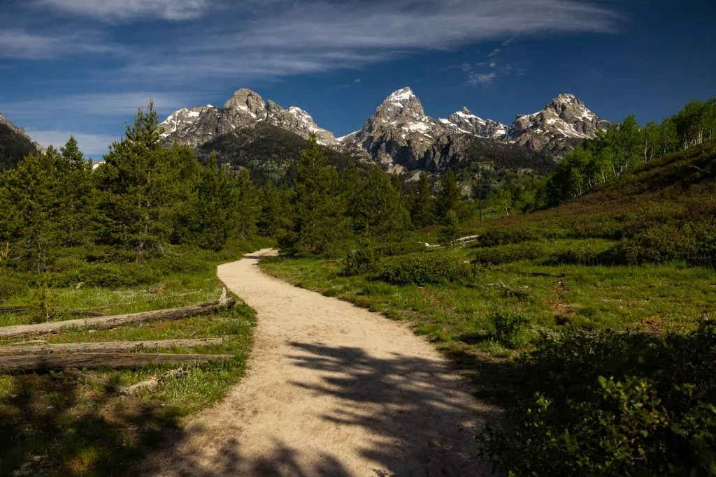 A dirt path winds towards the grand tetons mountains on the Bradley Lake hike in this colorful summer photo.