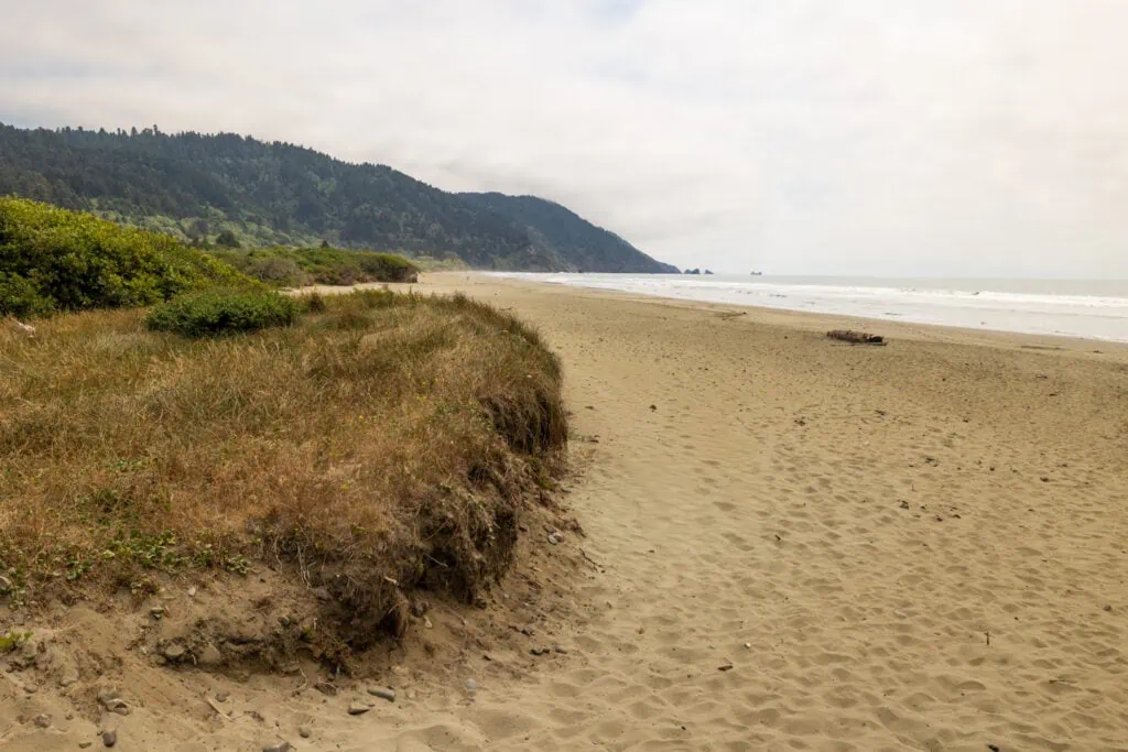 The sandy Crescent City beach is one of the designated ceremony locations for elopements in Redwoods National Parks.