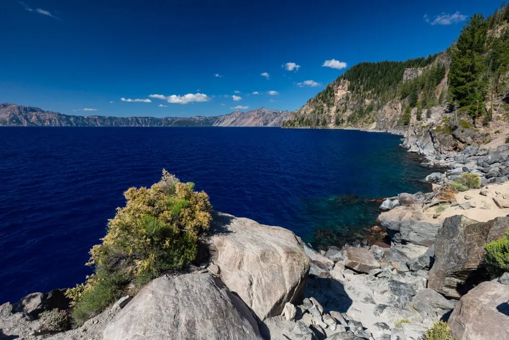 The deep blue water of Crater Lake is framed by the rim at Cleetwood Cove.