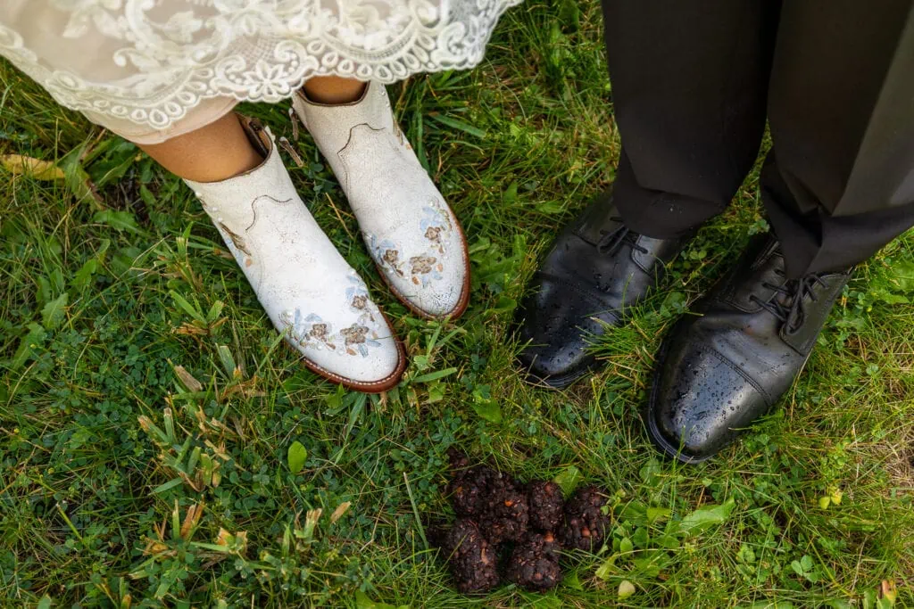 The bride and groom are pointing their toes towards a pile of bear scat in the grass.