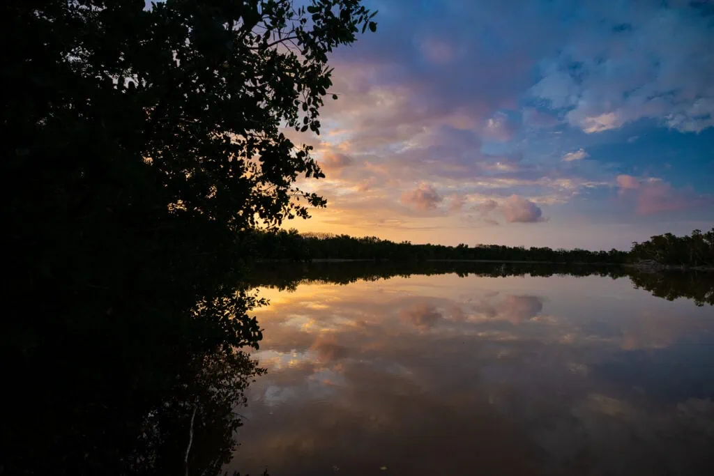 A sunset over a lake at the everglades